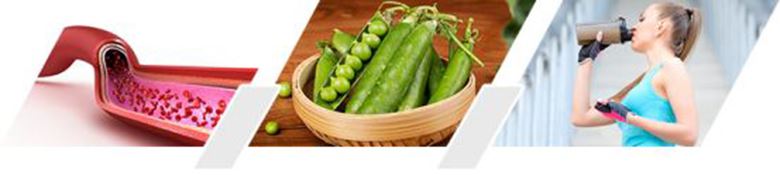 Pea-Protein-Powder Pea-Protein-Powder