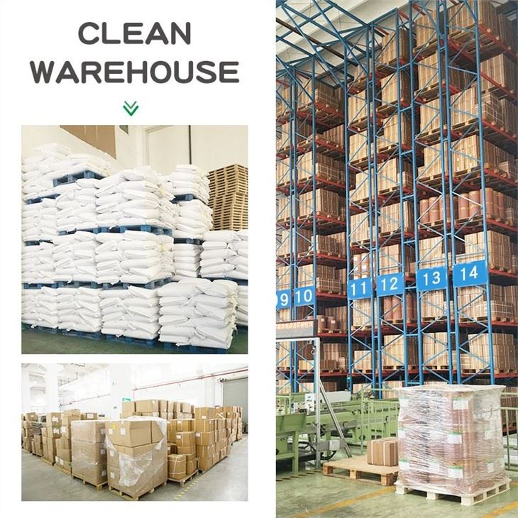 Rice protein powder -warehouse-4(001)