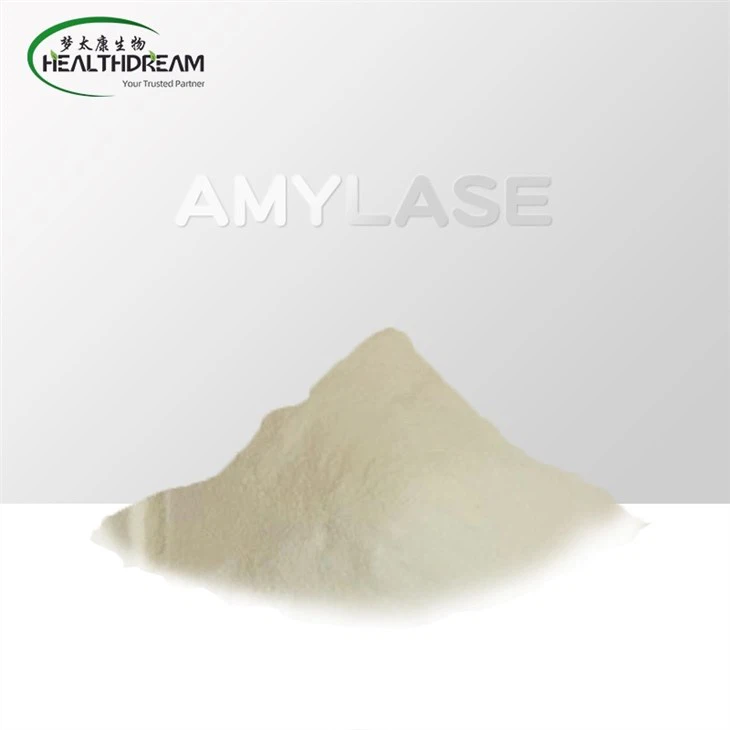 Lactobacillus Rhamnosus Powder