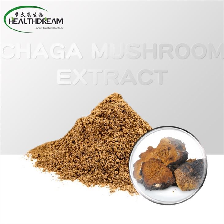 Chaga Mushroom Extract