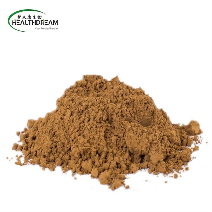 Chicory Extract