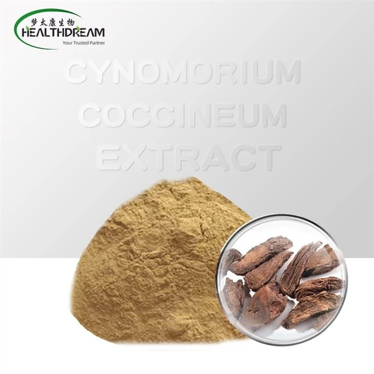 Cynomorium Coccineum Extract
