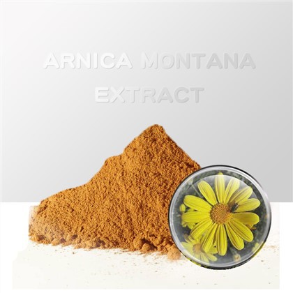 Arnica Montana Extract