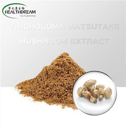 Tricholoma Matsutake Mushroom Extract