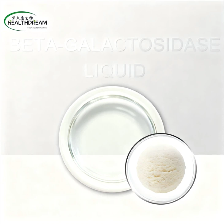 5,000 ALU/g Beta-galactosidase Liquid