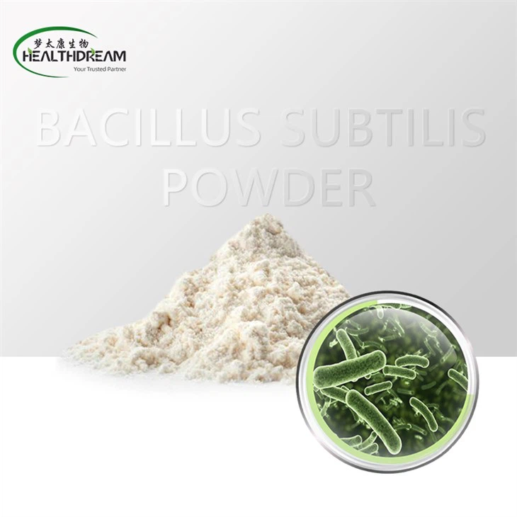 Bacillus Subtilis Probiotics Powder