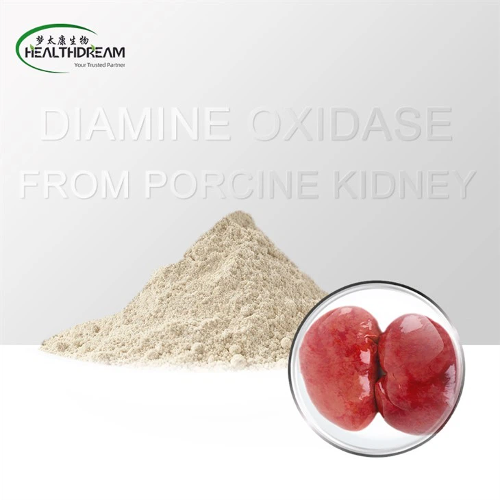 Diamine Oxidase From Porcine Kidney