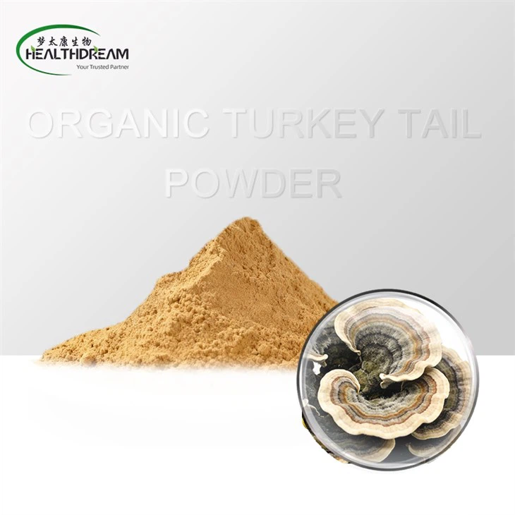 Organic Turkey Tail Powder (Fruiting Body)