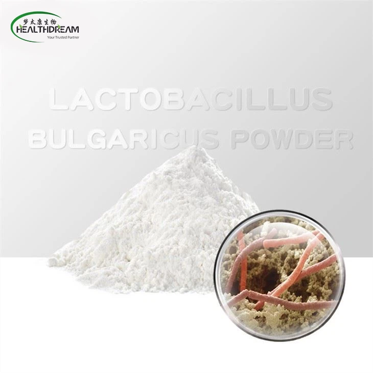 Lactobacillus Bulgaricus Powder