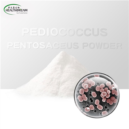 Pediococcus Pentosaceus Powder