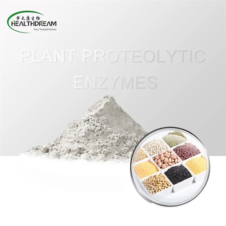 Plant Proteolytic Enzymes