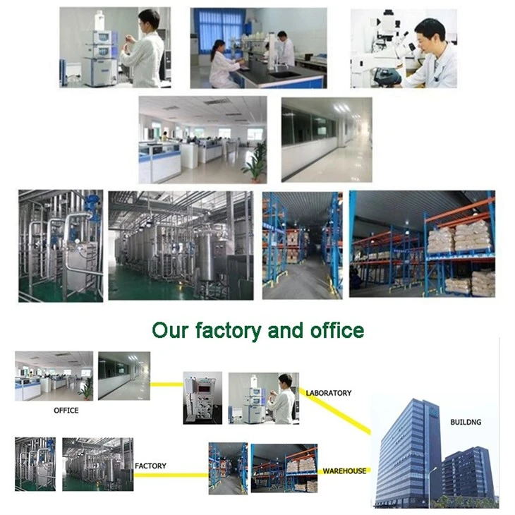 Scallop Powder factory